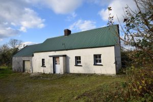 Ballamon, Ferns, Enniscorthy, Co. Wexford. Auction Report.