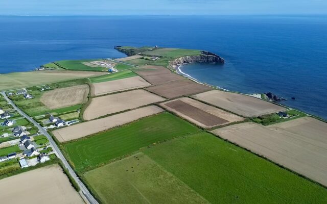 “Oh we do like to be beside the seaside..” Irish Farmers Journal. 12/06/24.