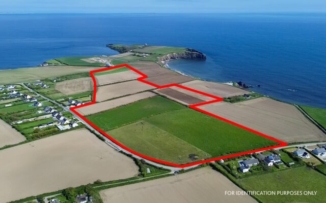 ’33-acre seaside farm in Wexford expected to fetch €10k-12k/acre’. Irish Examiner. 29/05/24.
