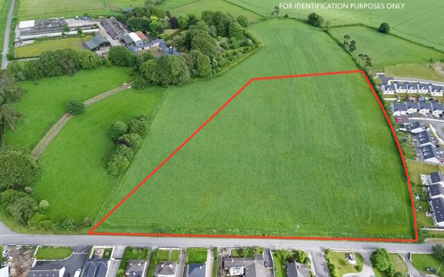 ‘Seven-acre Wicklow plot with development opportunities to be sold at auction’. Wicklow People. 24/06/24.