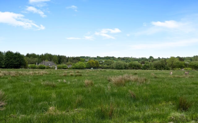 Constable Hill, Hacketstown, Co. Carlow – Auction Report