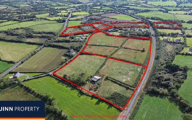 Scarnagh, Inch, Gorey, Co. Wexford – Auction Report