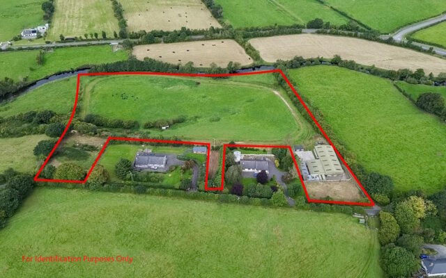 Sruhaun, Baltinglass, Co. Wicklow – Auction Report