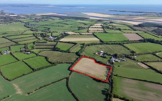 Kilmacree, Killinick, Co. Wexford – Auction Report